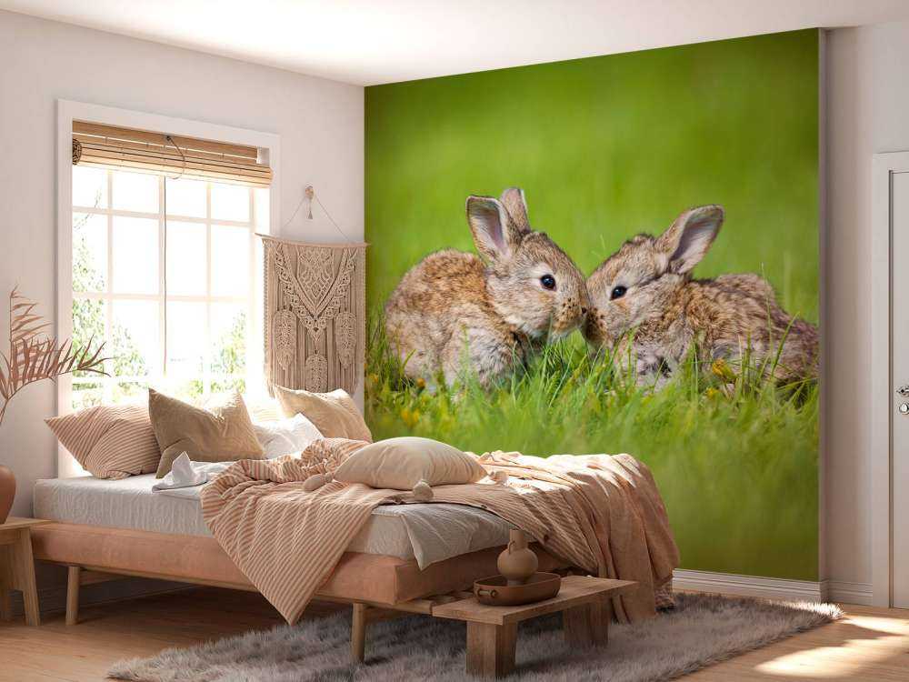 Twee baby haasjes in het gras