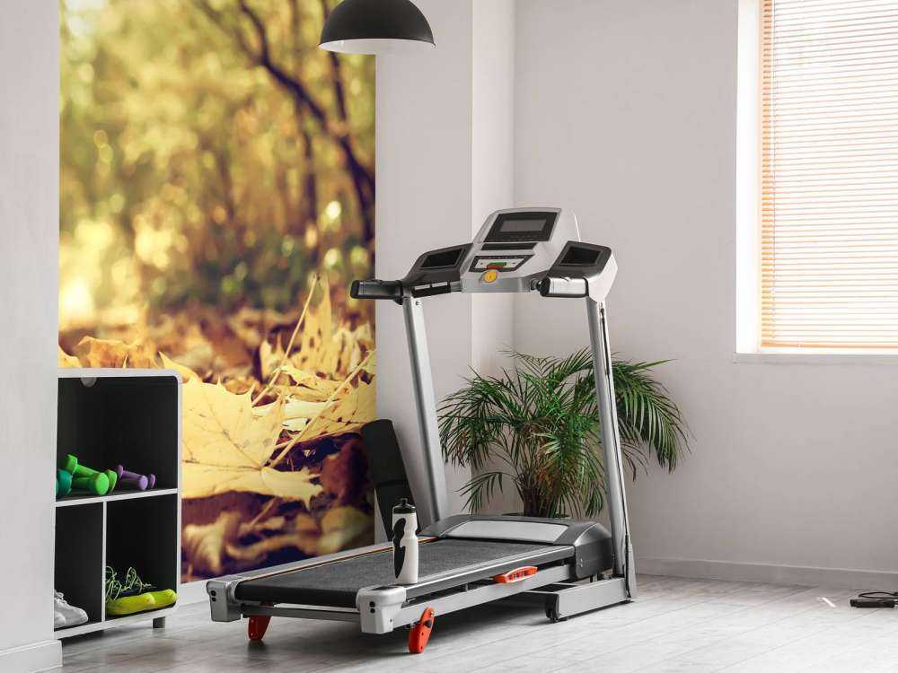 Bladeren in het Bos tijdens de Herfst