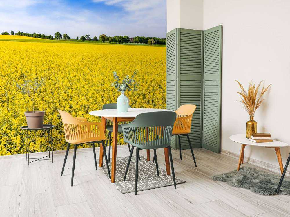 Gele koolzaadvelden