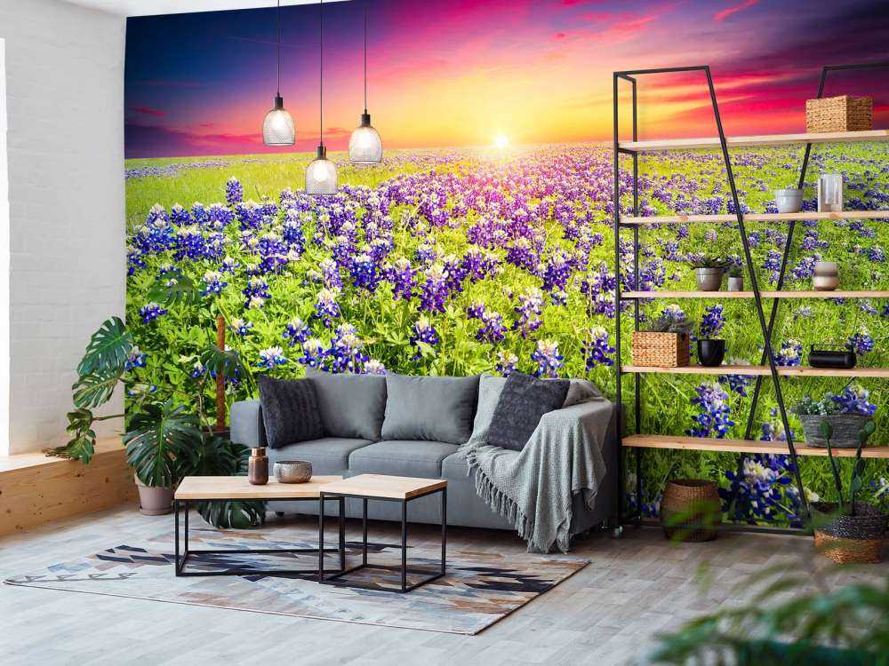 Bluebonnets met mooie Zonsondergang