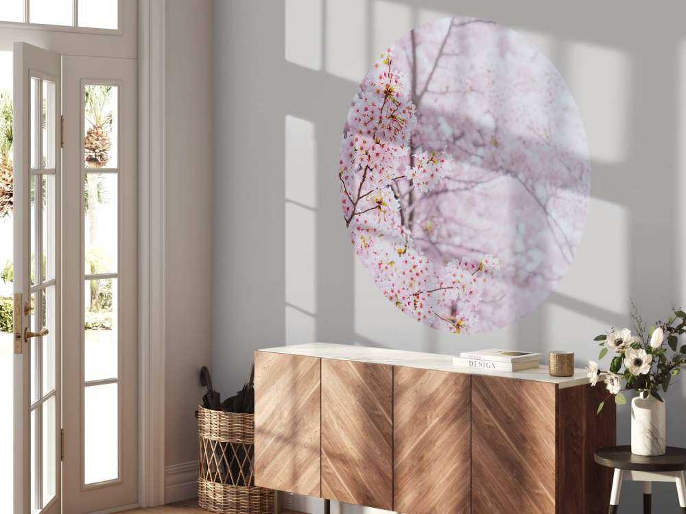 Lichte Bloesem in Korea