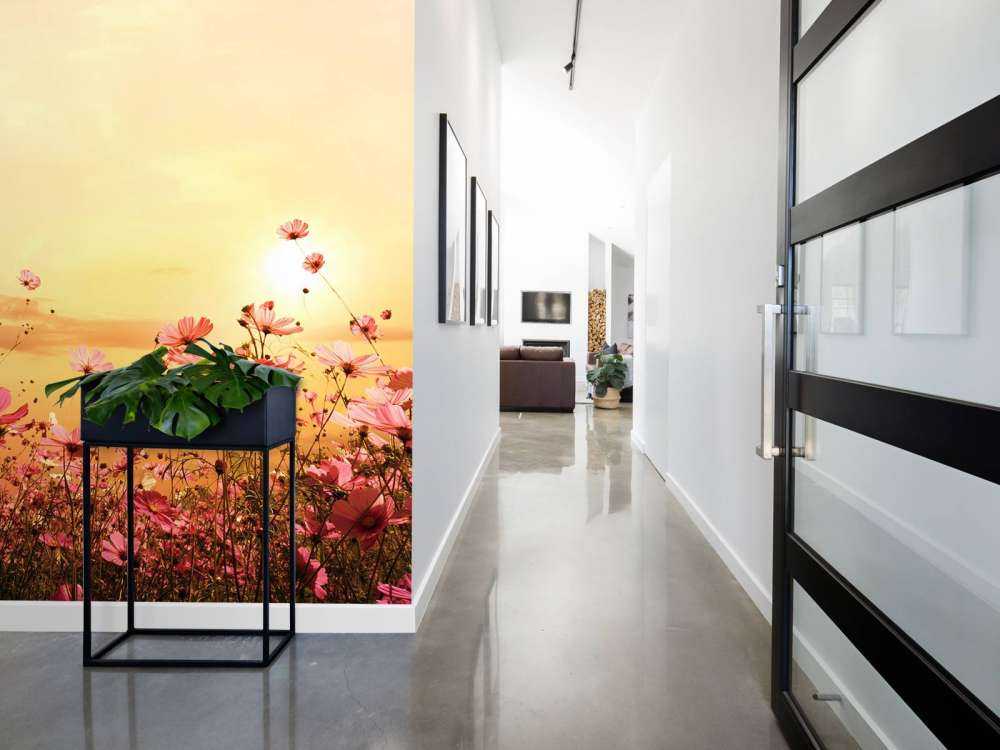 Kosmos Bloem tijdens Zonsondergang