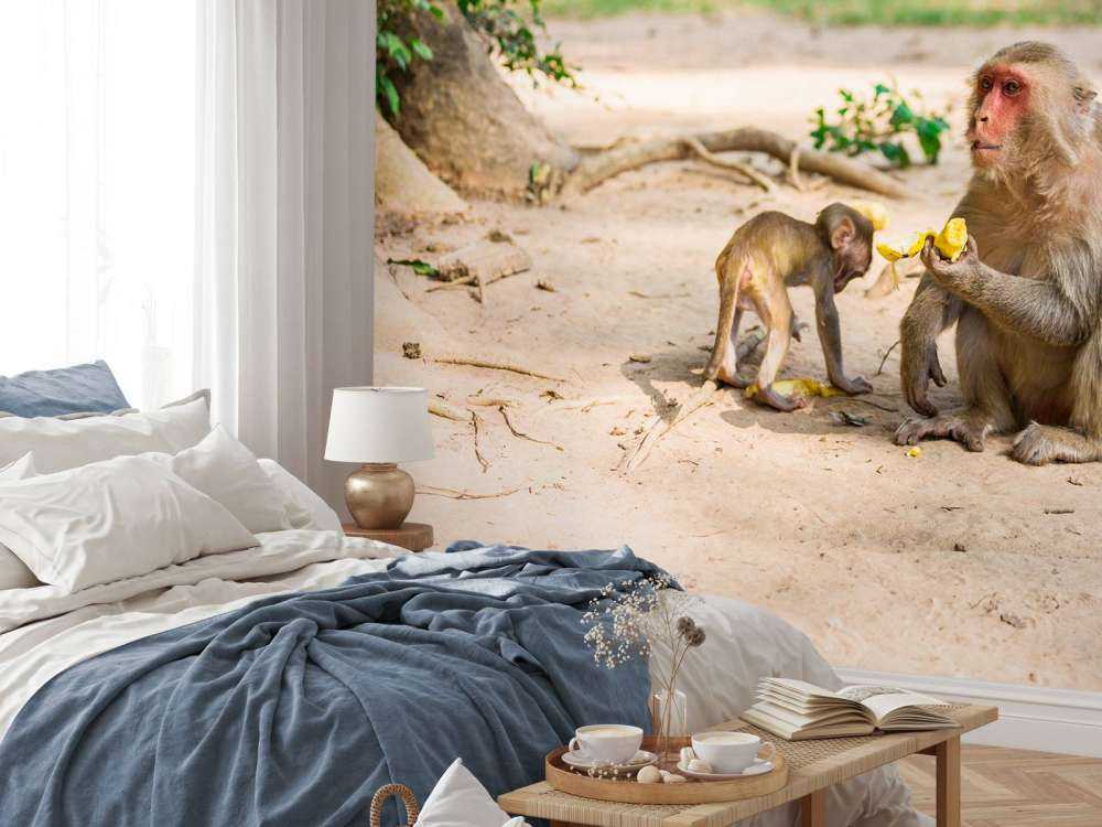 Moeder aap geeft haar kindje te eten