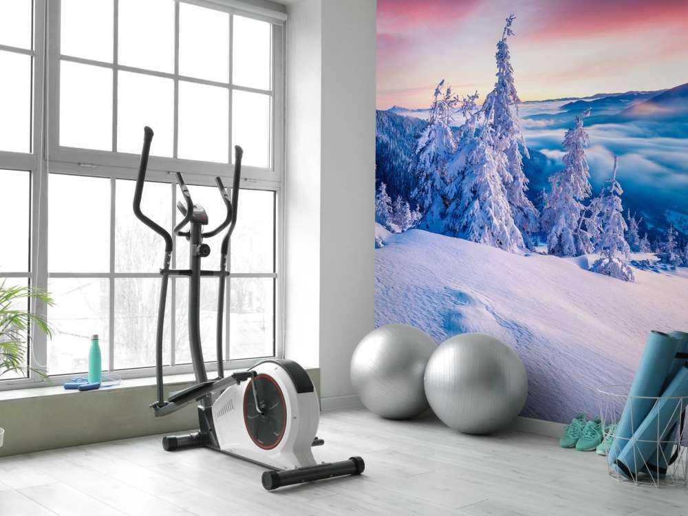 De Karpaten in de winter