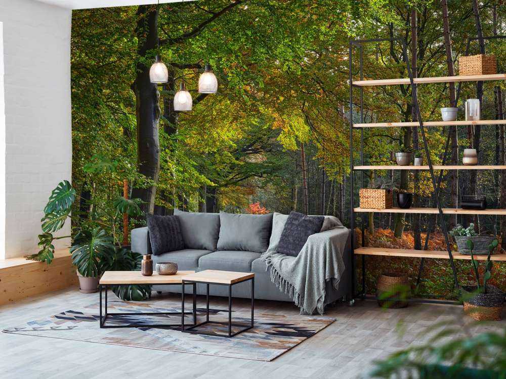 Pad met blaadjes door het bos