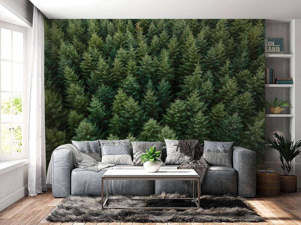 Douglassparren van boven