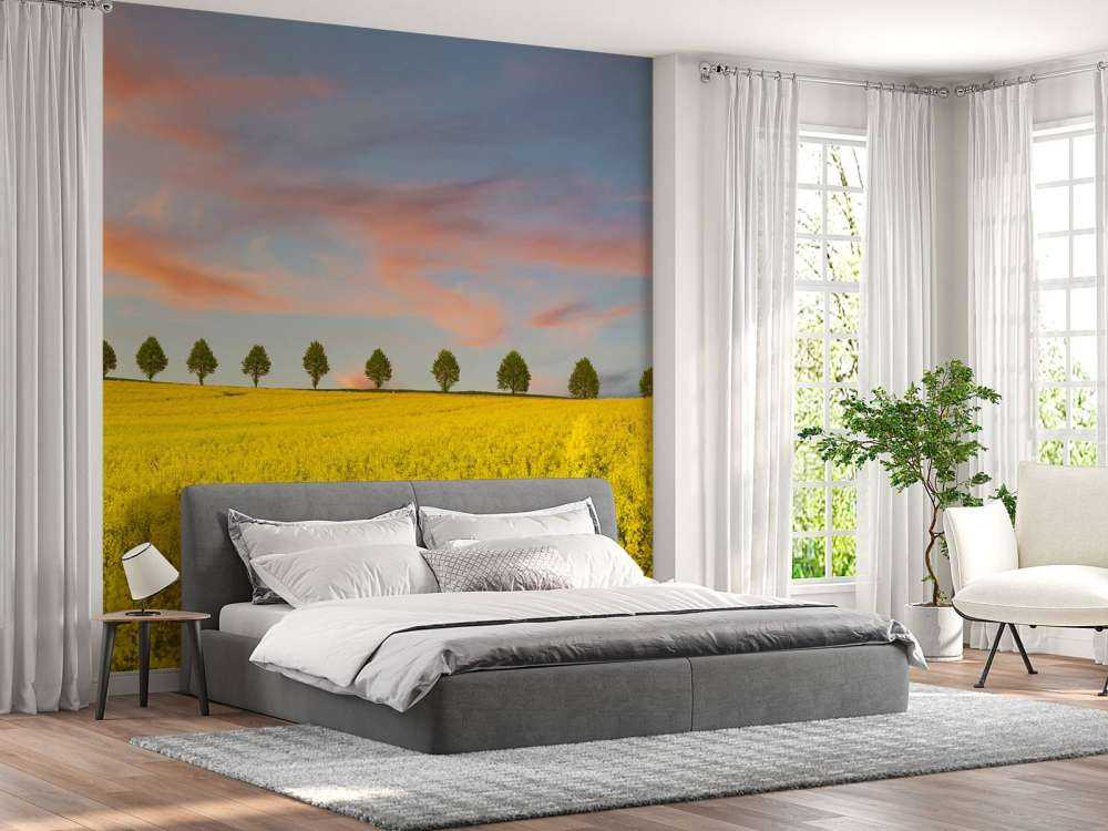 Veld vol gele bloemen