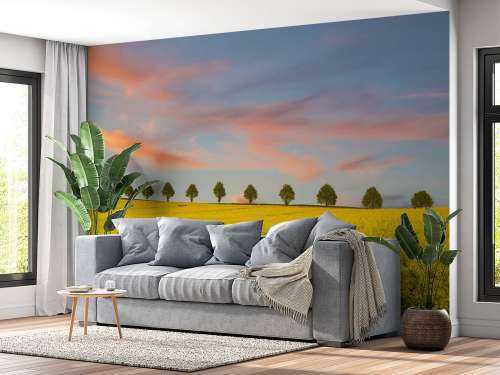 Veld vol gele bloemen