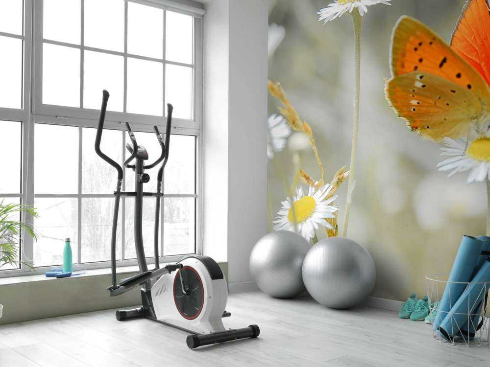 Madeliefjes en oranje vlinder