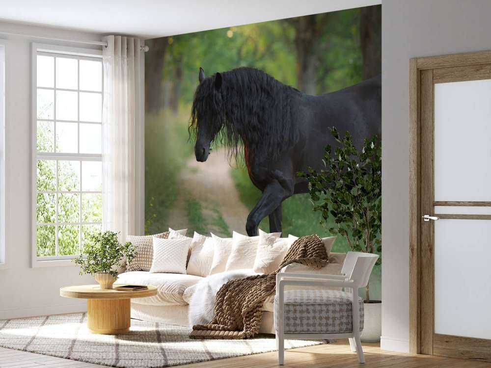 Fries Paard op een Zandweg