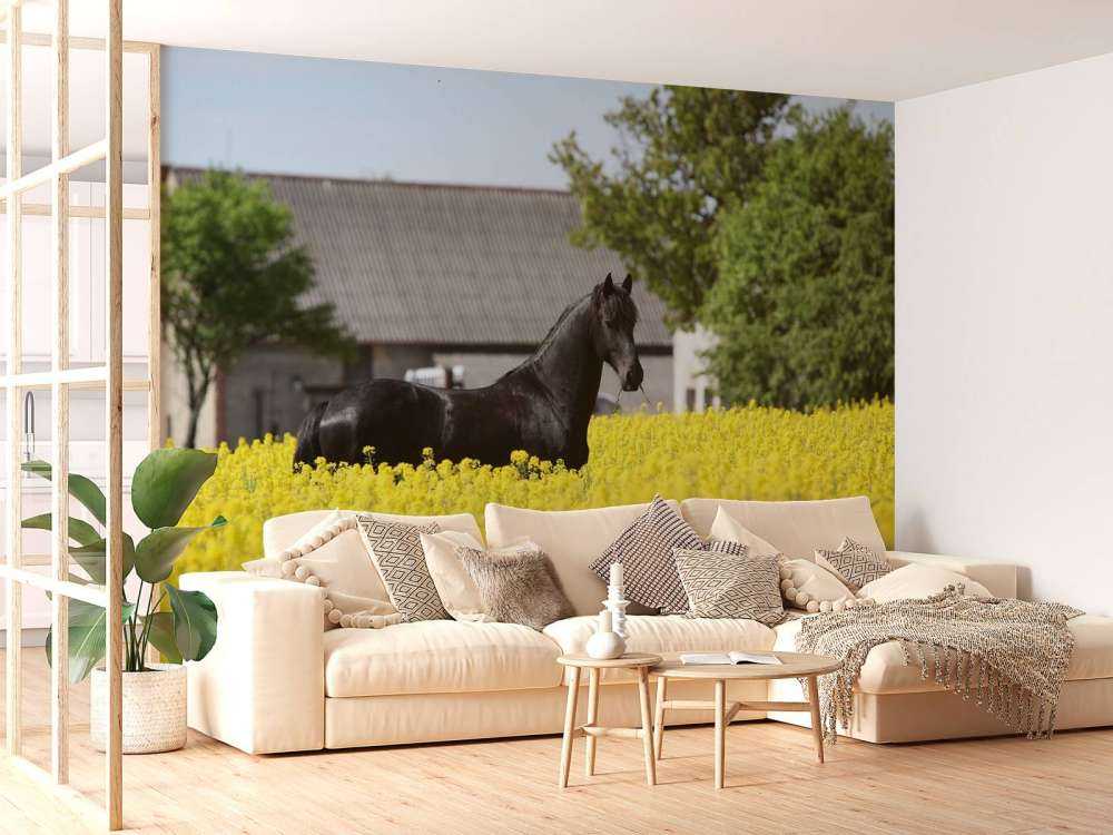 Zwart Fries Paard in de lente tussen de bloemen