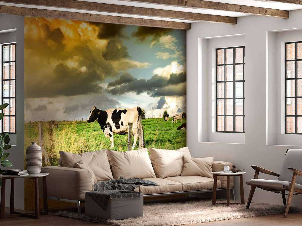 Koe tijdens zonsondergang