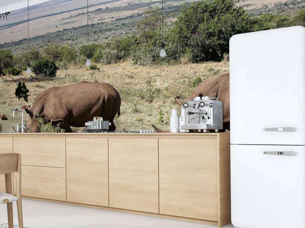 Grazende witte neushoorns