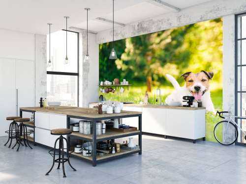 Een vrolijke Jack Russell