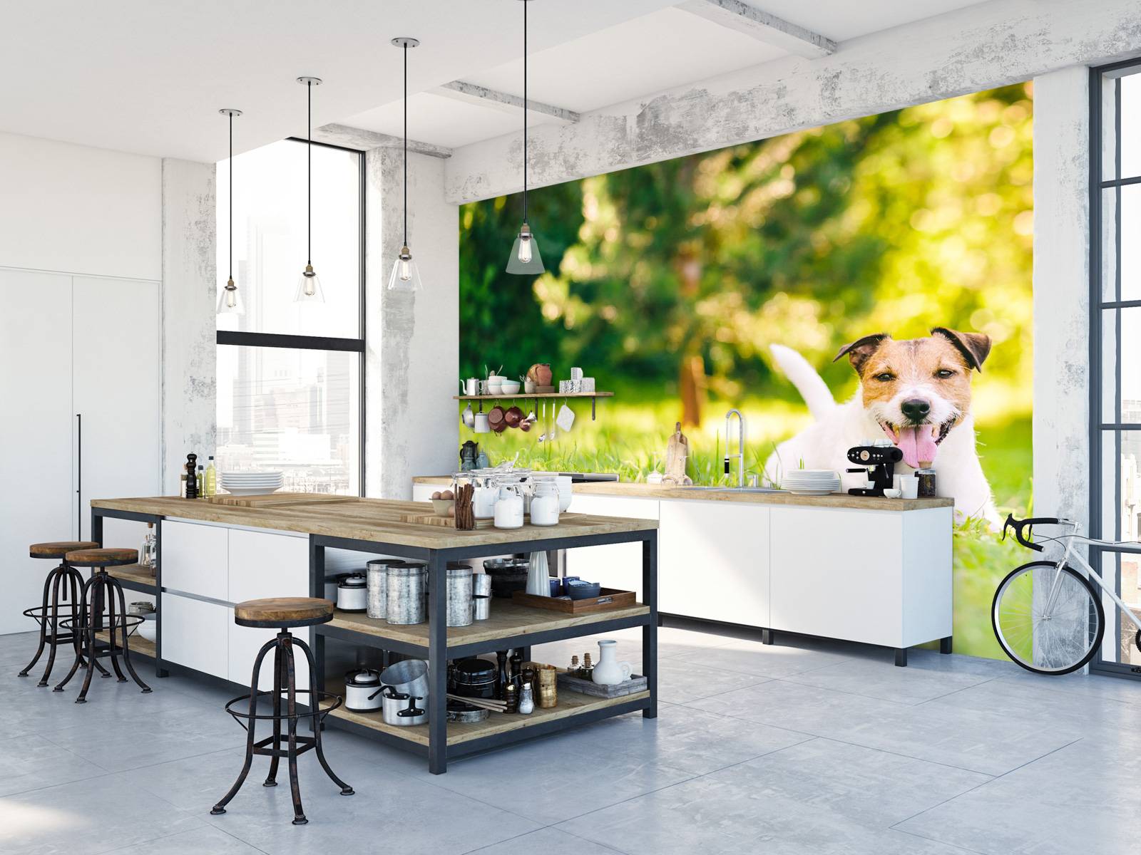 Een vrolijke Jack Russell