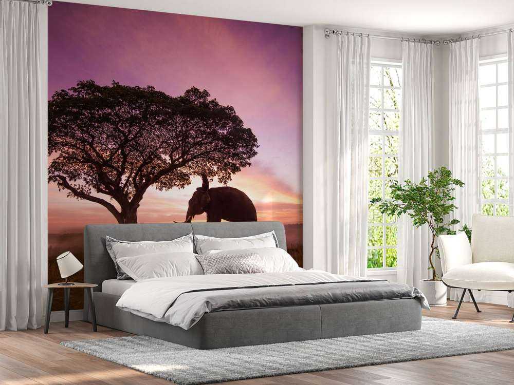 Olifant bij een unieke zonsondergang