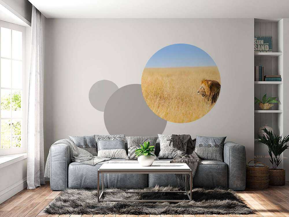 Afrikaanse leeuw op zoek naar een prooi