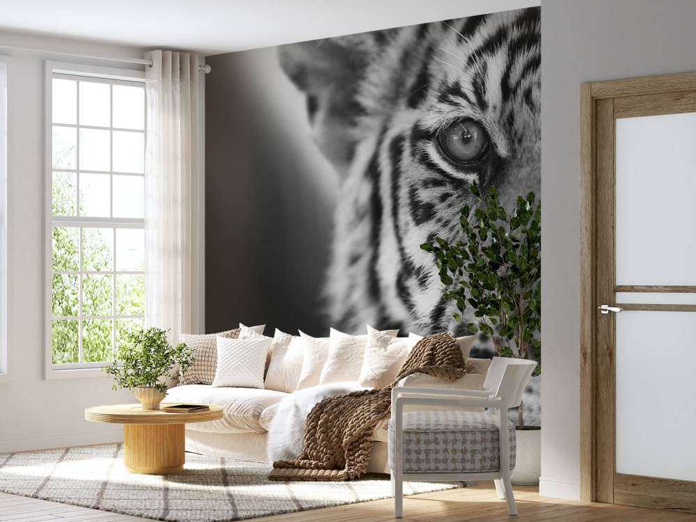 Mooie tijger in zwart-wit