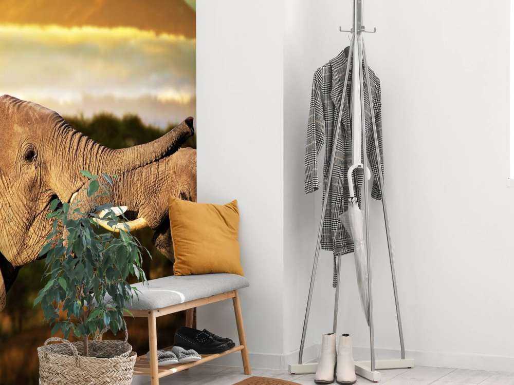 Olifanten spelen bij zonsondergang