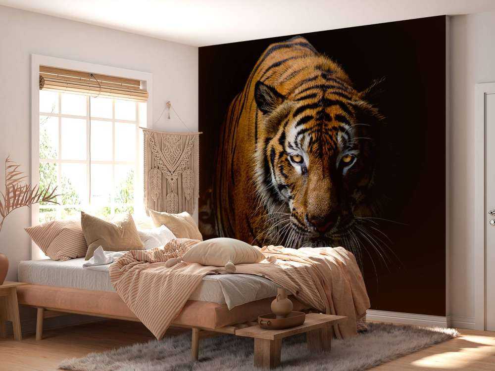 Tijger met een zwarte achtergrond