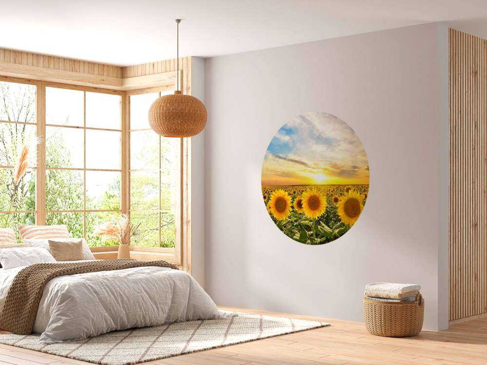 Zonnebloemen bij zonsopkomst
