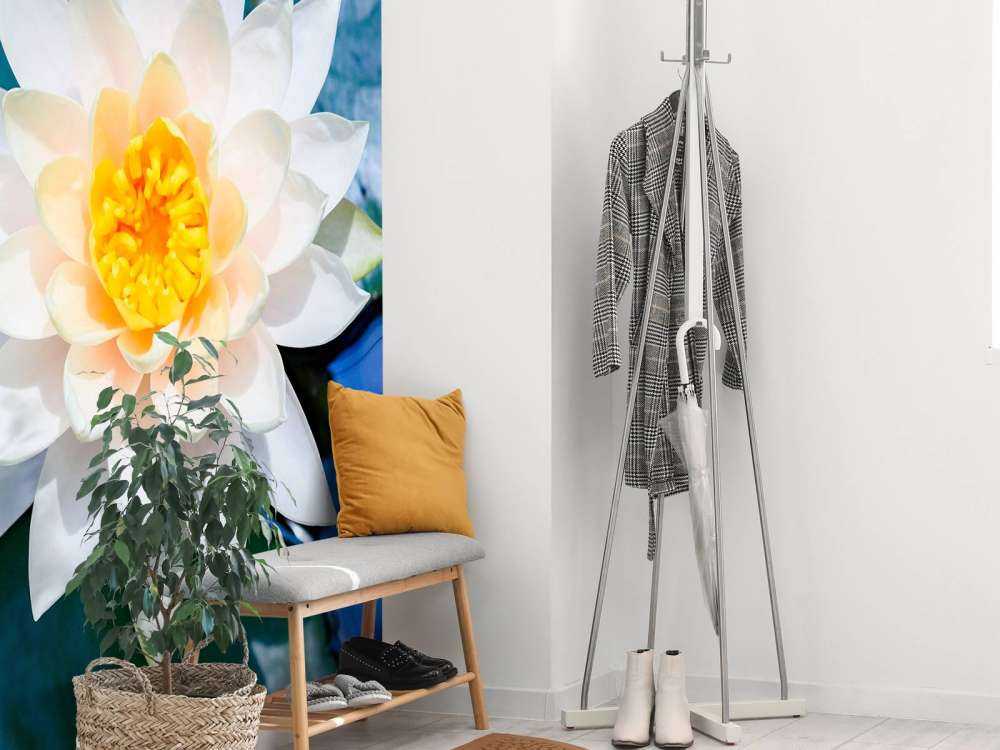 Witte lotusbloem met gele kern