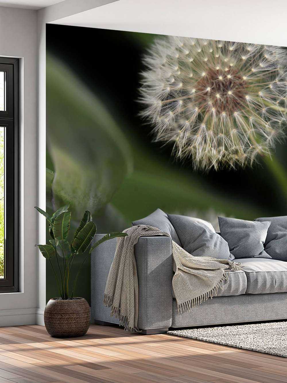 Close-up paardenbloemen