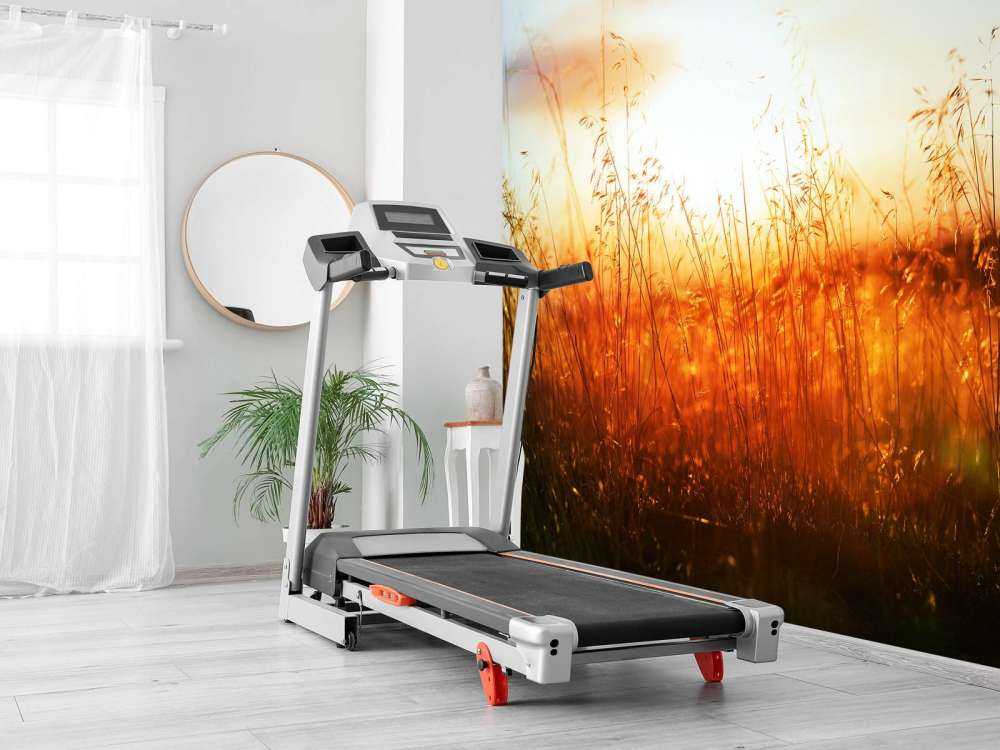 Een zonnige dag op de weide