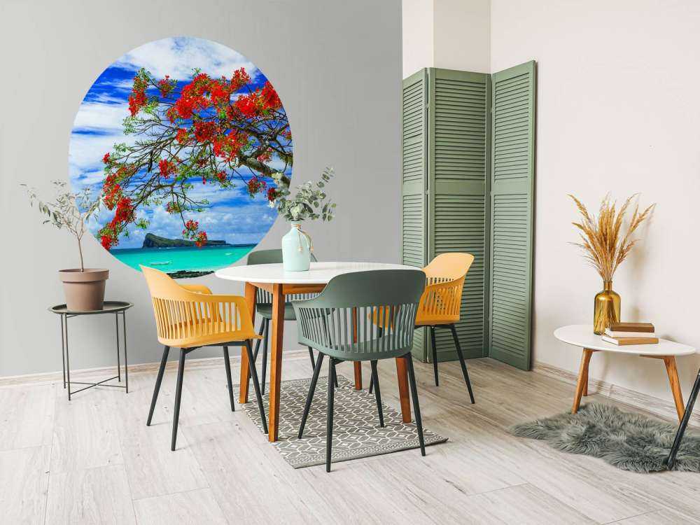 Rode flamboyant boom op het strand