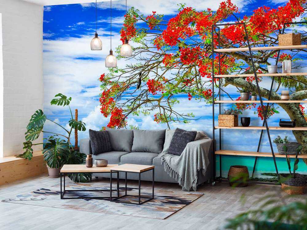 Rode flamboyant boom op het strand