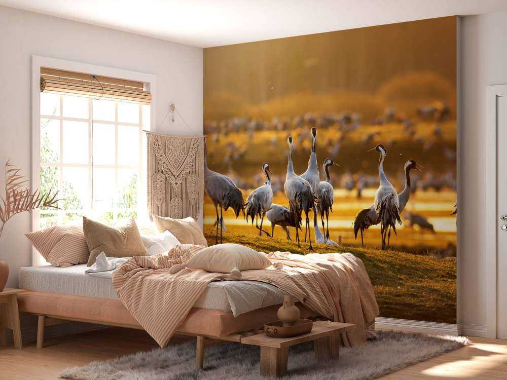 Kraanvogels in de ochtend