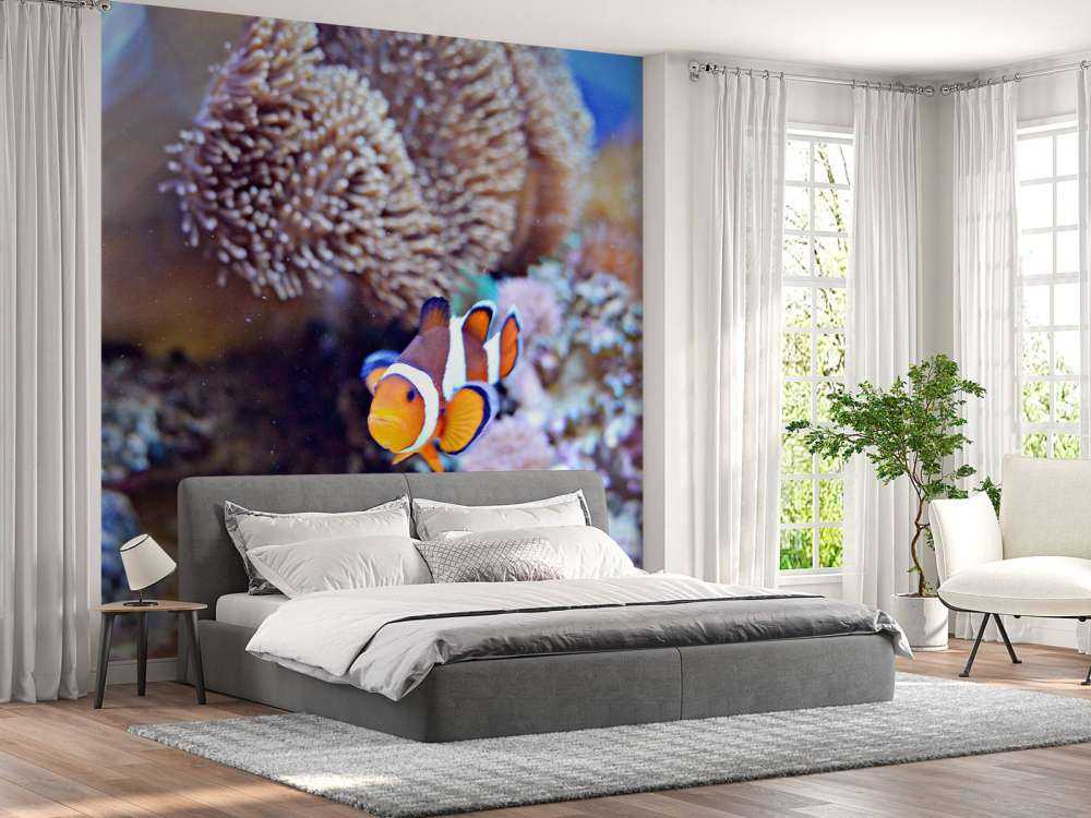 Anemoonvis in een koraalrif