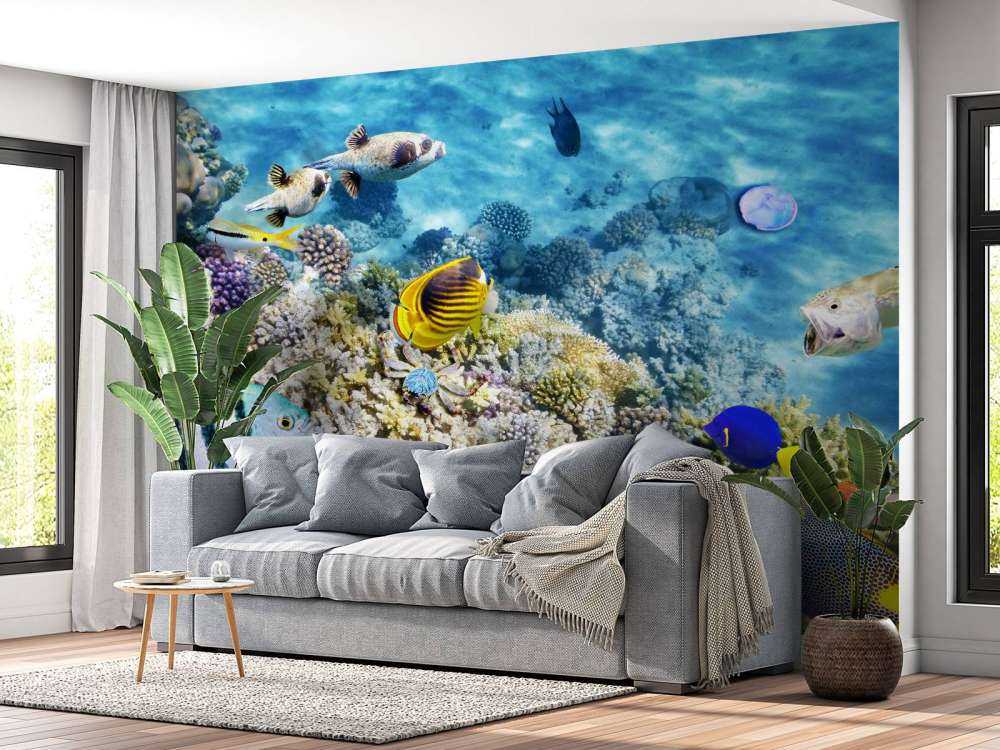 Exotische vissen en koralen