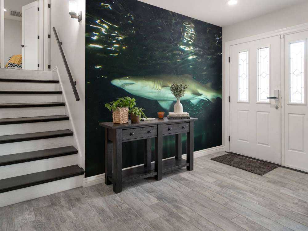 Grote witte haai in een aquarium