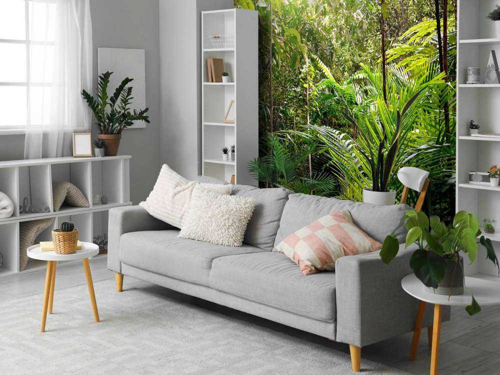 Vol gegroeid oerwoud