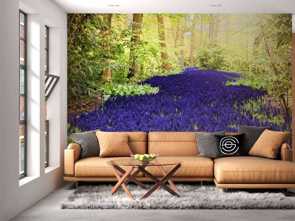 Paarse muscari in de Keukenhof tuinen