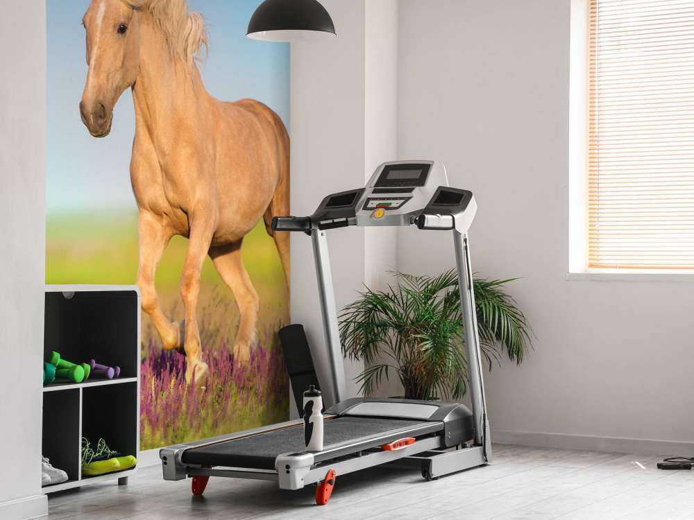 Cremello Paard in weide