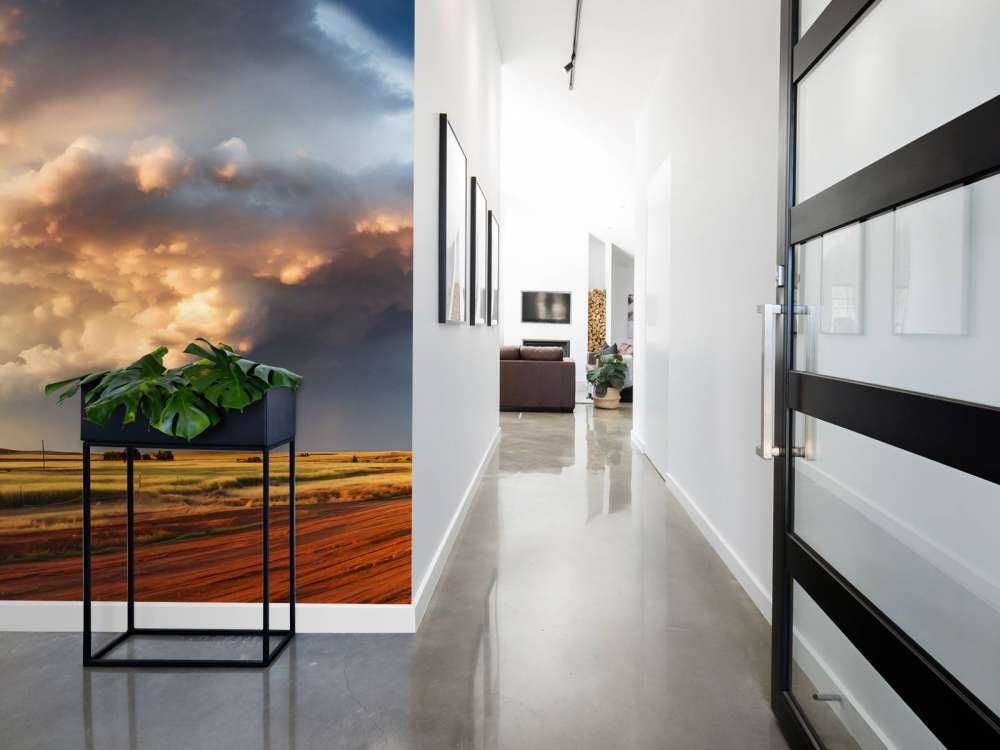 Storm over the Meadow