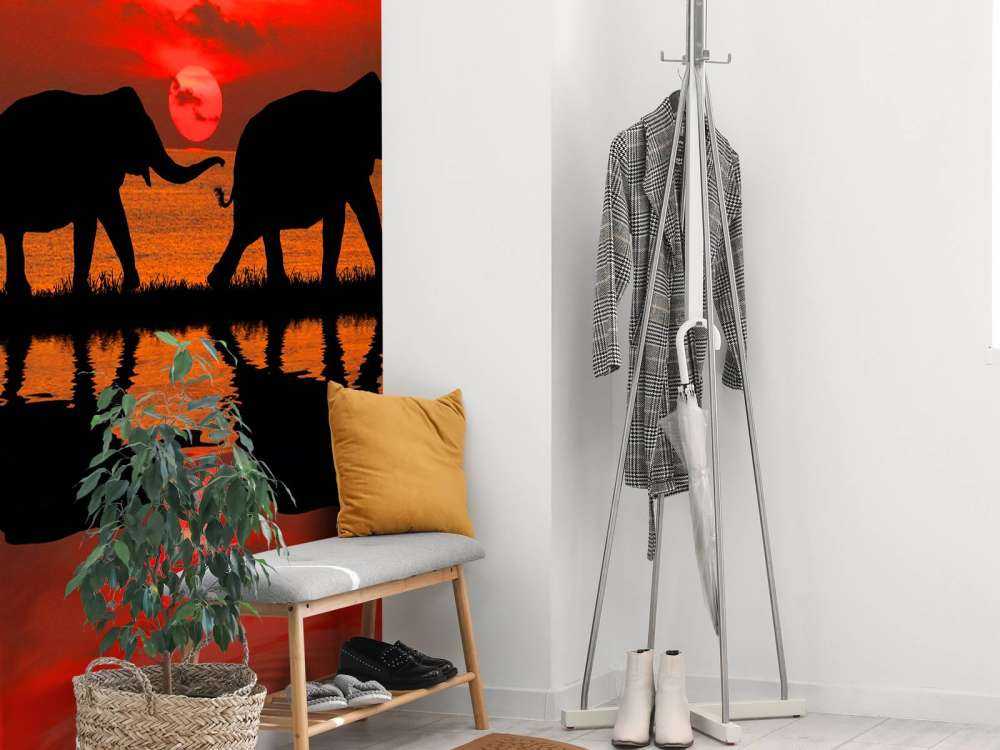 Olifanten en zonsondergang