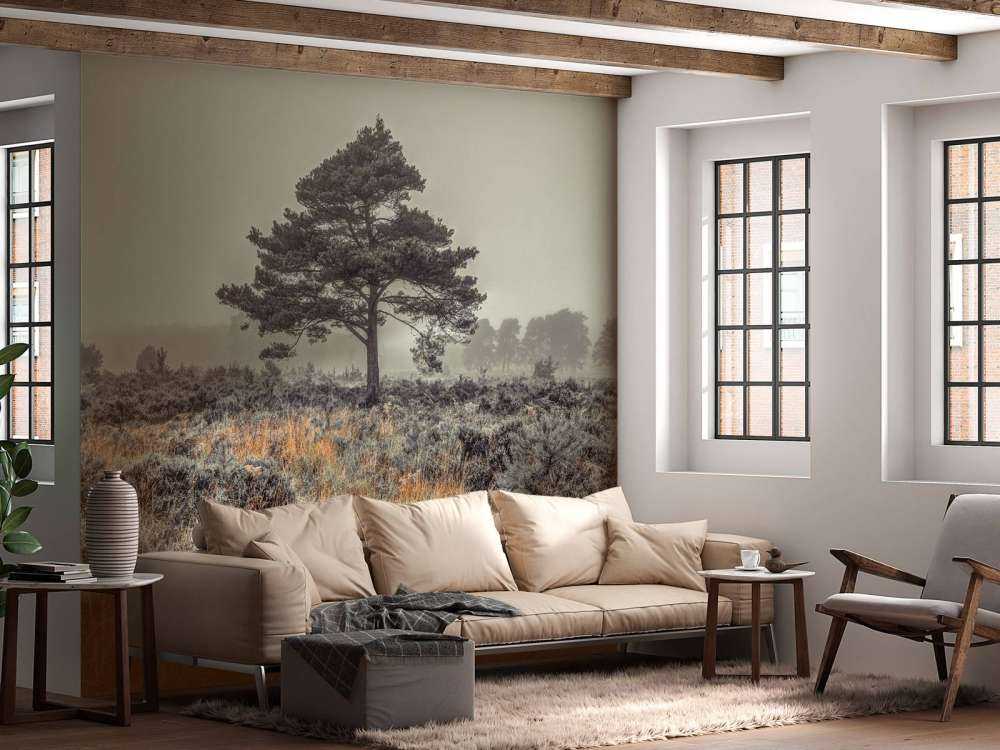 Boom op het platteland