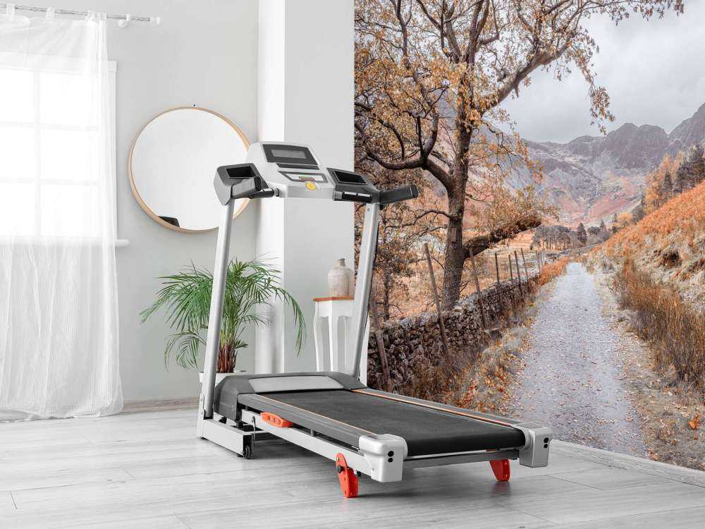 Pad tussen de bergen