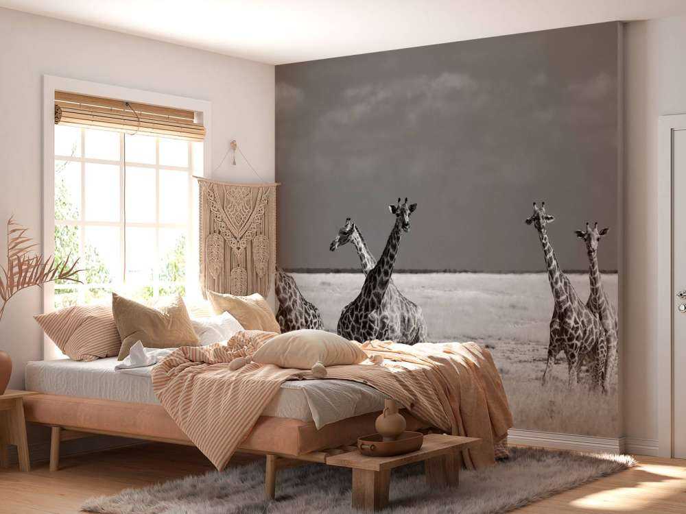 Look Girl Strange Animals