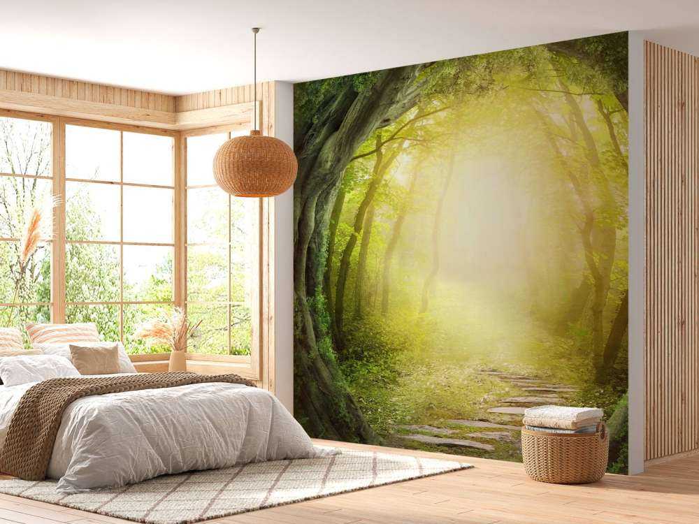 Stenen pad door bos