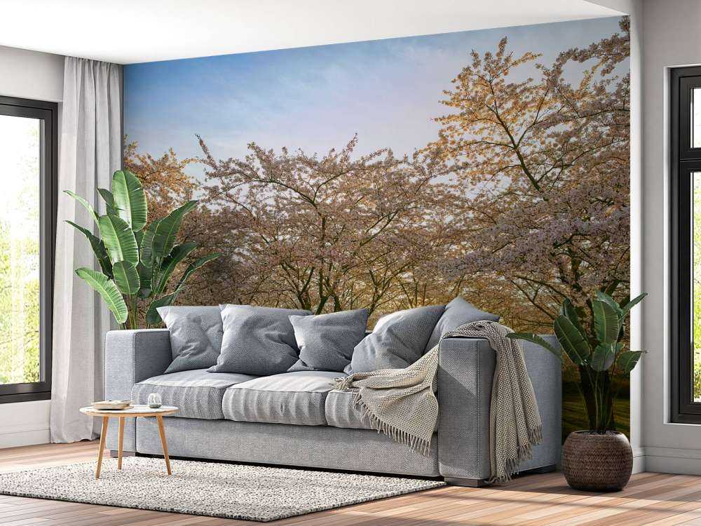 Bloeiende bloesem bomen
