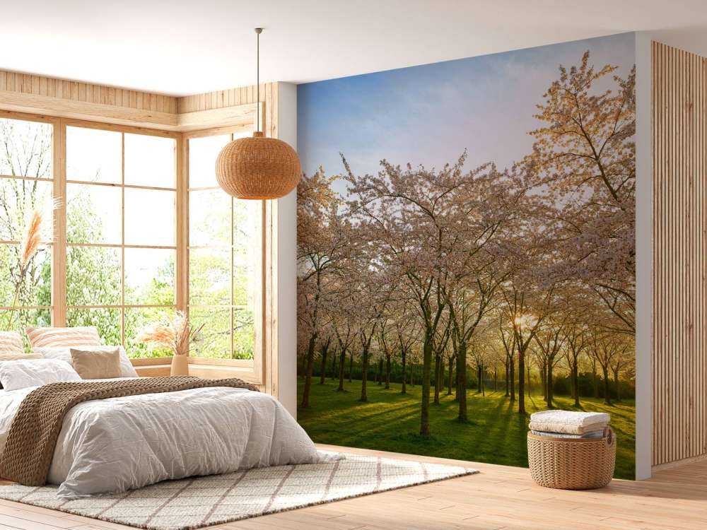 Bloeiende bloesem bomen