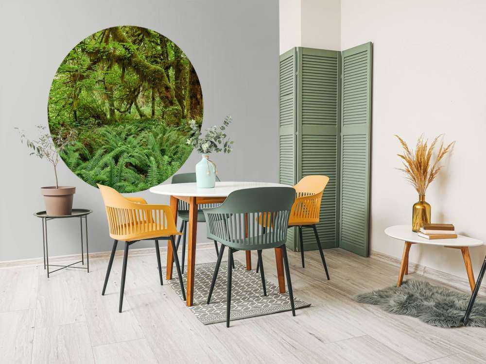 Varens in een oud bos