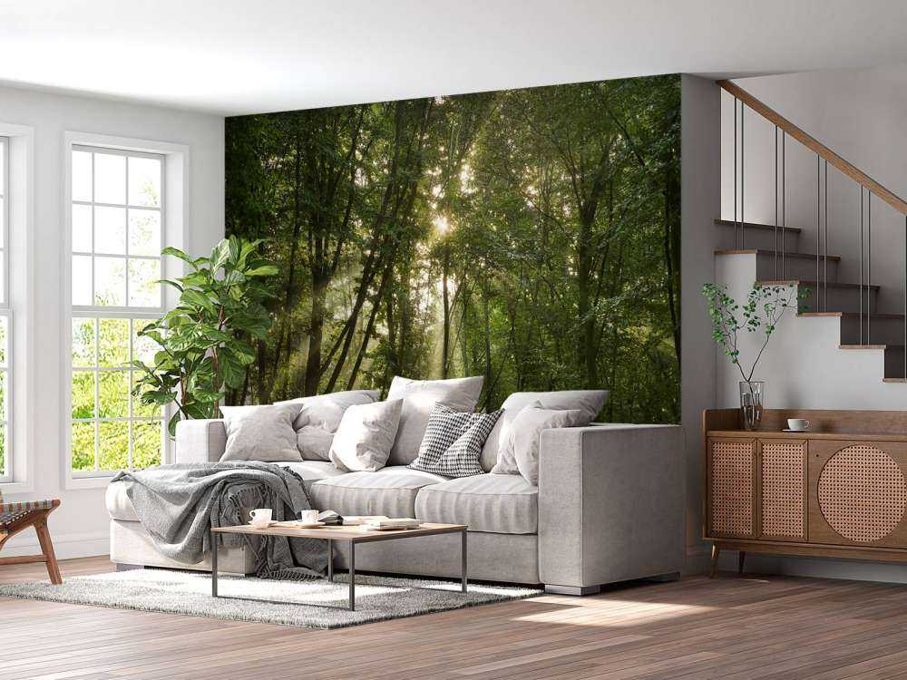 Zonnestralen in het bos