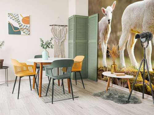 Witte lammetjes