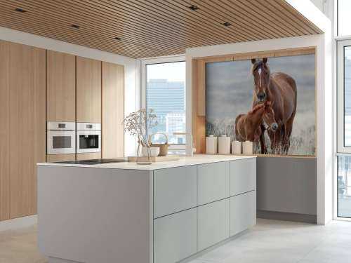 Wilde paarden