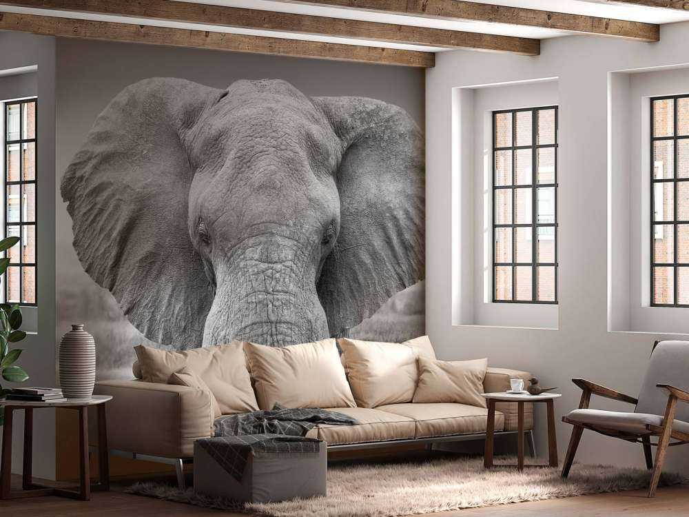 Olifant zwart-wit